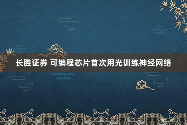 长胜证券 可编程芯片首次用光训练神经网络