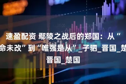 速盈配资 鄢陵之战后的郑国：从“官命未改”到“唯强是从”_子驷_晋国_楚国