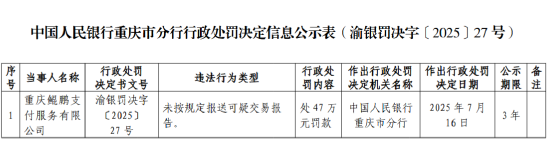蚂蚁策略 鲲鹏支付被罚47万元：未按规定报送可疑交易报告