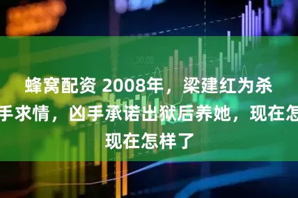 蜂窝配资 2008年，梁建红为杀子凶手求情，凶手承诺出狱后养她，现在怎样了